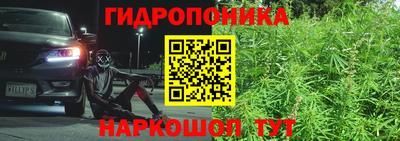 мяу мяу мука Будённовск