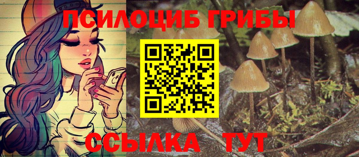 Вологда  наркошоп  Вход с VPN  Псилоцибиновые грибы Psilocybine cubensis 